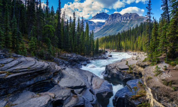 River flowing through a forested mountain landscape with evergreen trees and snow-covered peaks.