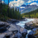River flowing through a forested mountain landscape with evergreen trees and snow-covered peaks.