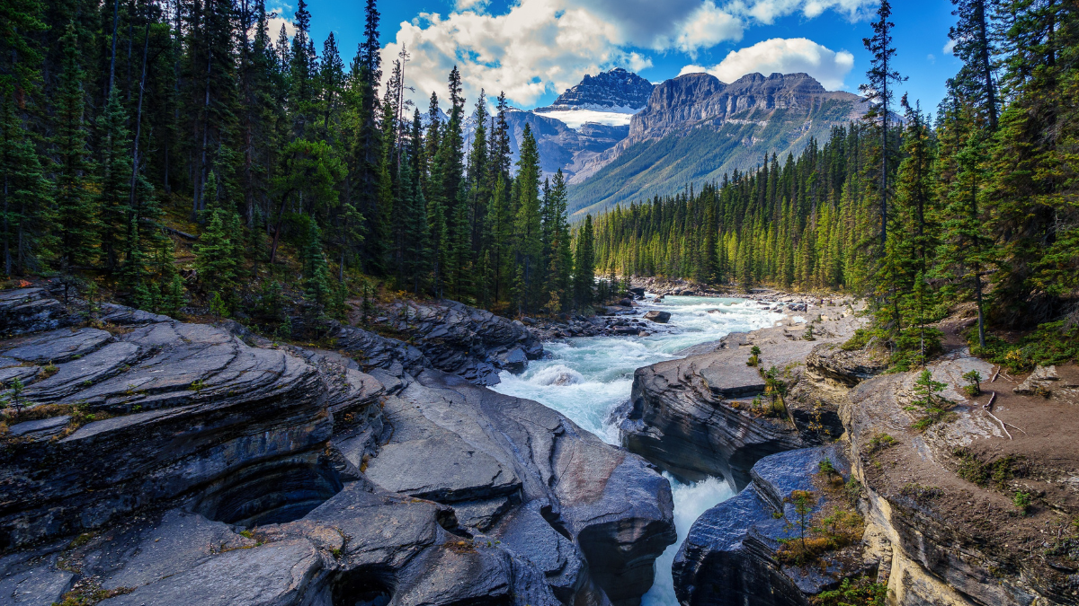 River flowing through a forested mountain landscape with evergreen trees and snow-covered peaks.