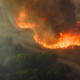 Wildfire burning through dry vegetation and shrubs, producing thick smoke across a forest landscape.