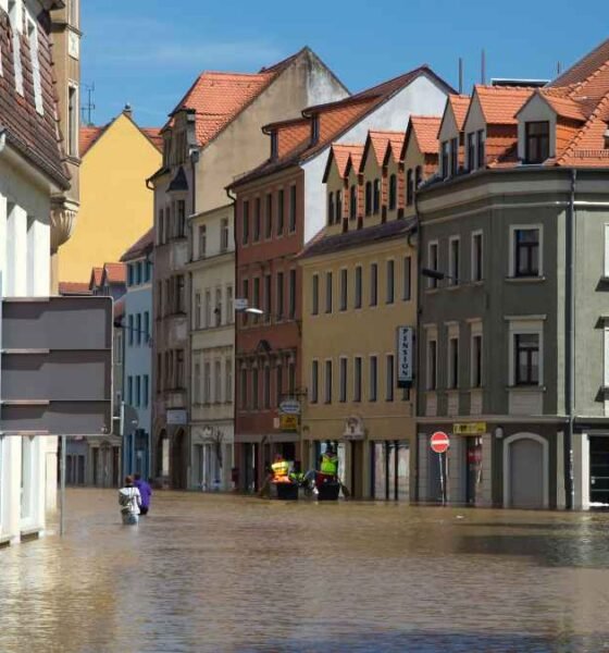 The EU climate resilience framework aims to help cities, businesses and communities prepare for heatwaves,