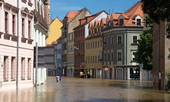 The EU climate resilience framework aims to help cities, businesses and communities prepare for heatwaves,